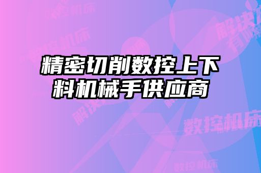精密切削數(shù)控上下料機械手供應商