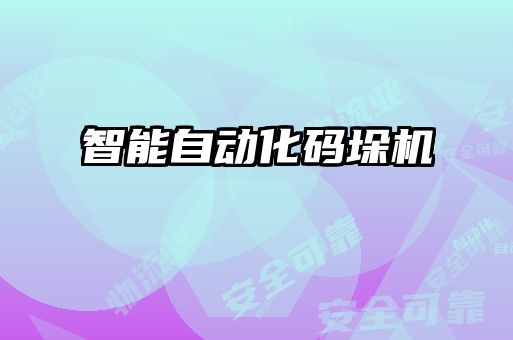 智能自動(dòng)化碼垛機(jī)