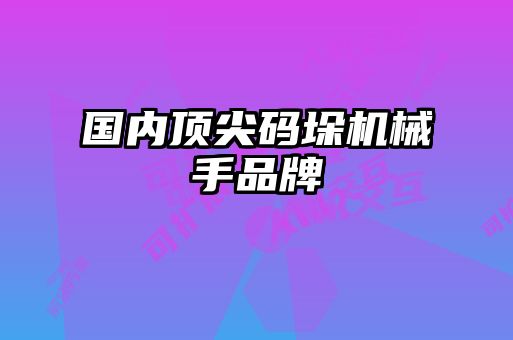 國內頂尖碼垛機械手品牌